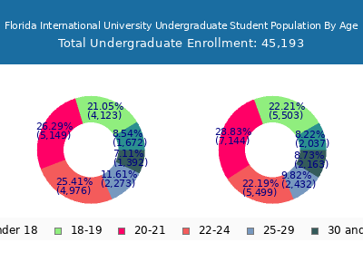 Florida International University 2024 Undergraduate Enrollment Age Diversity Pie chart