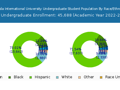 Florida International University 2023 Undergraduate Enrollment by Gender and Race chart