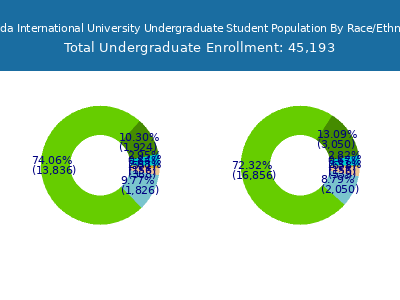 Florida International University 2025 Undergraduate Enrollment by Gender and Race chart