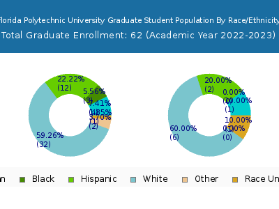 Florida Polytechnic University 2023 Graduate Enrollment by Gender and Race chart