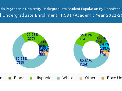 Florida Polytechnic University 2023 Undergraduate Enrollment by Gender and Race chart