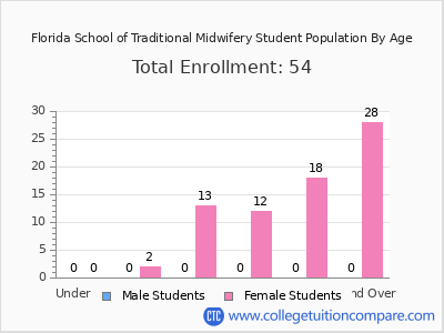 Florida School of Traditional Midwifery 2024 Student Population by Age chart