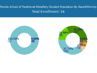 Florida School of Traditional Midwifery 2025 Student Population by Gender and Race chart