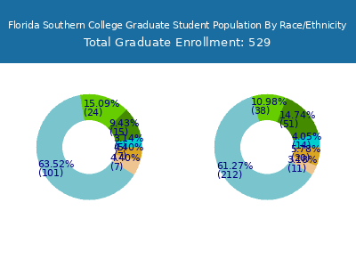 Florida Southern College 2025 Graduate Enrollment by Gender and Race chart
