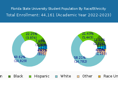 Florida State University 2023 Student Population by Gender and Race chart