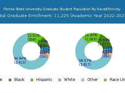 Florida State University 2023 Graduate Enrollment by Gender and Race chart