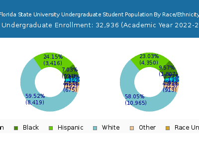Florida State University 2023 Undergraduate Enrollment by Gender and Race chart