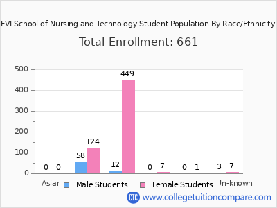 FVI School of Nursing and Technology 2025 Student Population by Gender and Race chart