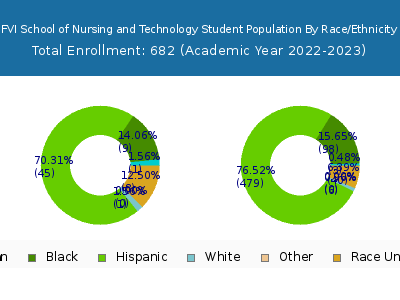 FVI School of Nursing and Technology 2023 Student Population by Gender and Race chart