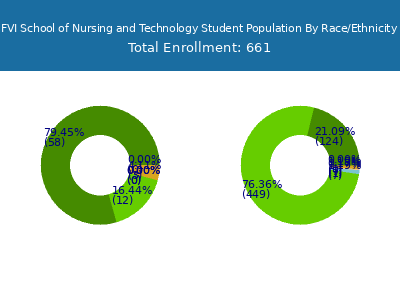 FVI School of Nursing and Technology 2025 Student Population by Gender and Race chart
