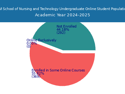 FVI School of Nursing and Technology 2025 Online Student Population chart