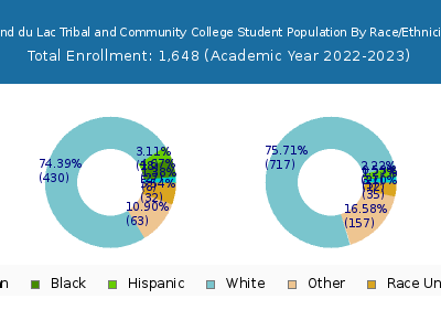 Fond du Lac Tribal and Community College 2023 Student Population by Gender and Race chart