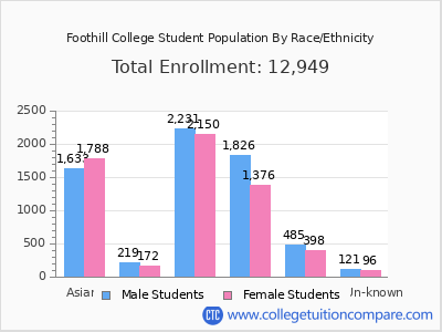 Foothill College 2025 Student Population by Gender and Race chart