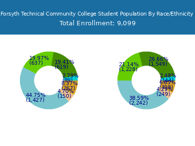 Forsyth Technical Community College 2025 Student Population by Gender and Race chart