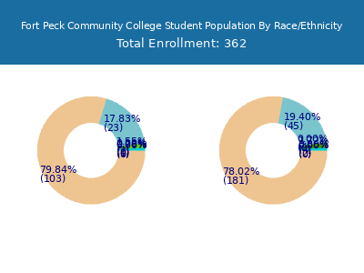 Fort Peck Community College 2025 Student Population by Gender and Race chart