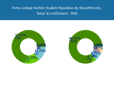 Fortis College-Norfolk 2025 Student Population by Gender and Race chart
