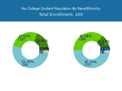 Fox College 2025 Student Population by Gender and Race chart