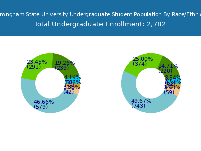 Framingham State University 2025 Undergraduate Enrollment by Gender and Race chart