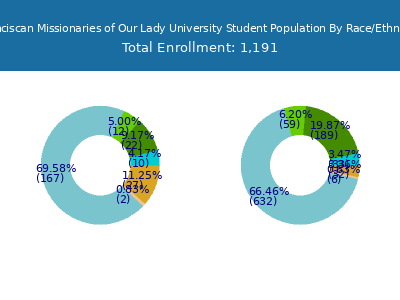 Franciscan Missionaries of Our Lady University 2025 Student Population by Gender and Race chart