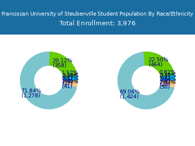 Franciscan University of Steubenville 2025 Student Population by Gender and Race chart