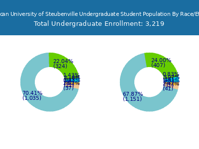 Franciscan University of Steubenville 2025 Undergraduate Enrollment by Gender and Race chart