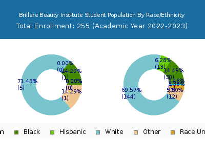 Brillare Beauty Institute 2023 Student Population by Gender and Race chart