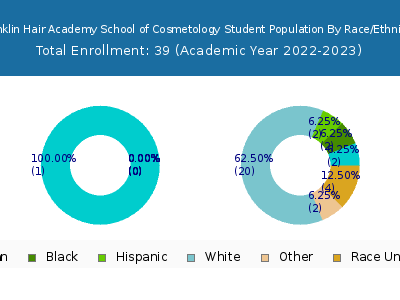 Franklin Hair Academy School of Cosmetology 2023 Student Population by Gender and Race chart