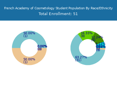 French Academy of Cosmetology 2025 Student Population by Gender and Race chart