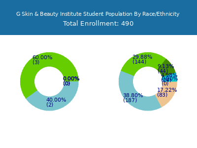G Skin & Beauty Institute 2025 Student Population by Gender and Race chart