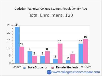Gadsden Technical College 2024 Student Population by Age chart