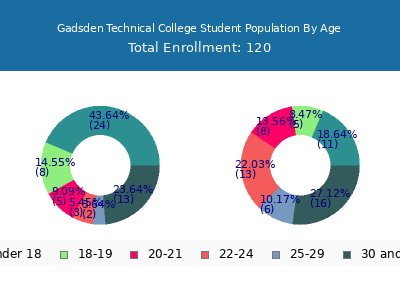 Gadsden Technical College 2024 Student Population Age Diversity Pie chart
