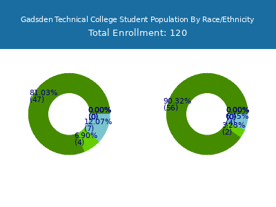 Gadsden Technical College 2025 Student Population by Gender and Race chart