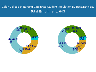 Galen College of Nursing-Cincinnati 2025 Student Population by Gender and Race chart