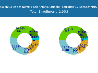 Galen College of Nursing-San Antonio 2025 Student Population by Gender and Race chart