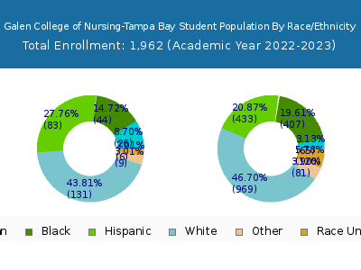 Galen College of Nursing-Tampa Bay 2023 Student Population by Gender and Race chart