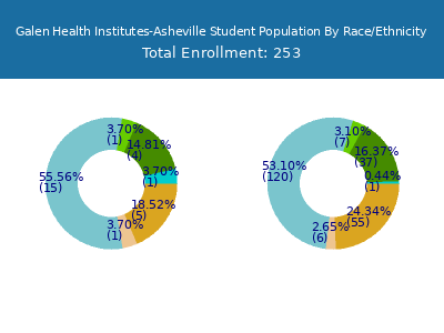 Galen Health Institutes-Asheville 2025 Student Population by Gender and Race chart
