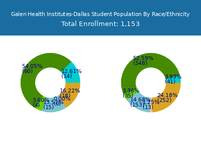 Galen Health Institutes-Dallas 2025 Student Population by Gender and Race chart
