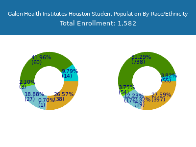 Galen Health Institutes-Houston 2025 Student Population by Gender and Race chart