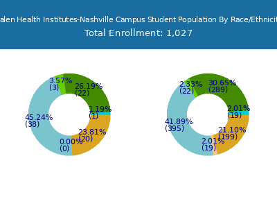 Galen Health Institutes-Nashville Campus 2025 Student Population by Gender and Race chart