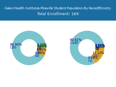 Galen Health Institutes-Pikeville 2025 Student Population by Gender and Race chart