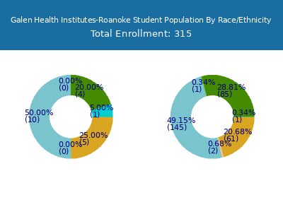 Galen Health Institutes-Roanoke 2025 Student Population by Gender and Race chart