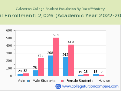 Galveston College 2023 Student Population by Gender and Race chart