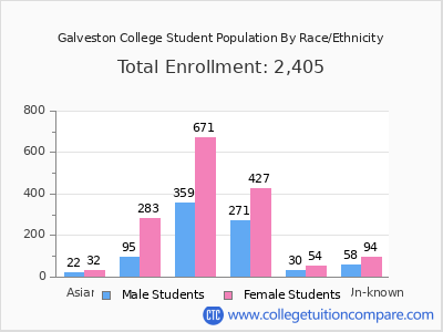 Galveston College 2025 Student Population by Gender and Race chart