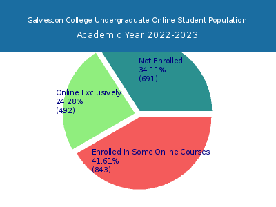 Galveston College 2023 Online Student Population chart