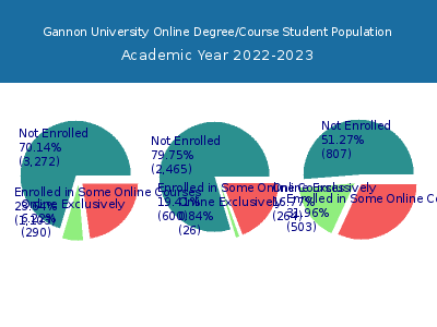 Gannon University 2023 Online Student Population chart