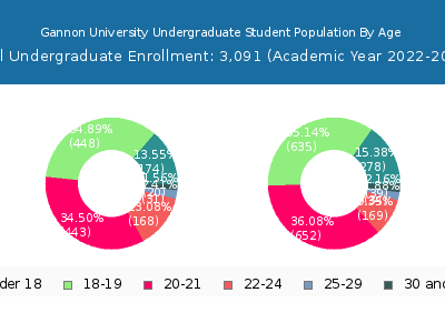 Gannon University 2023 Undergraduate Enrollment Age Diversity Pie chart