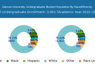 Gannon University 2023 Undergraduate Enrollment by Gender and Race chart
