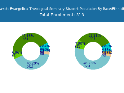 Garrett-Evangelical Theological Seminary 2025 Student Population by Gender and Race chart