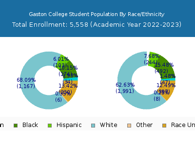 Gaston College 2023 Student Population by Gender and Race chart