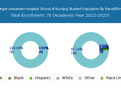 Geisinger-Lewistown Hospital School of Nursing 2023 Student Population by Gender and Race chart